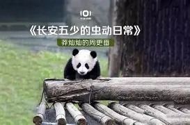 凯发娱乐平台 -兽音译者解密在线